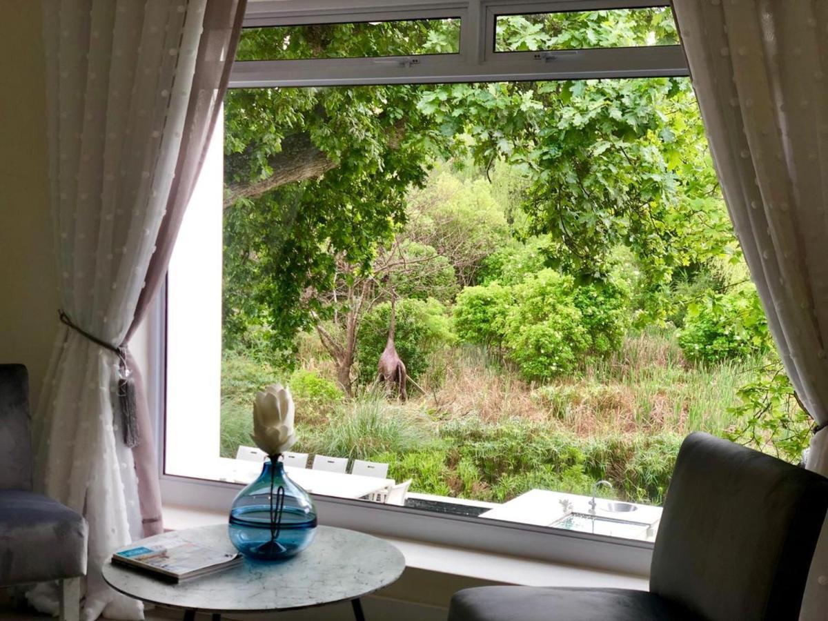 Badgemore Villa Guesthouse เคปทาวน์ ภายนอก รูปภาพ